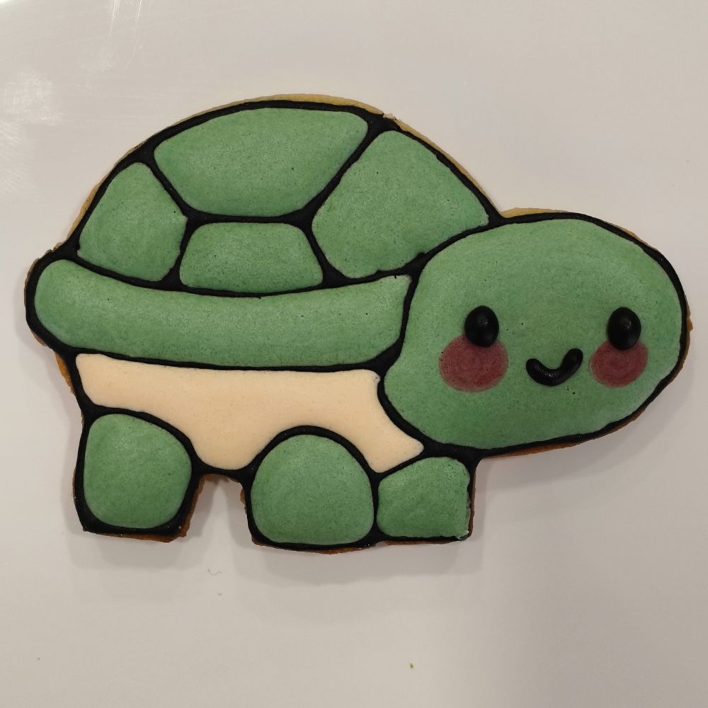 Galleta Tortuga
